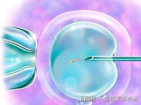 东莞代生小孩