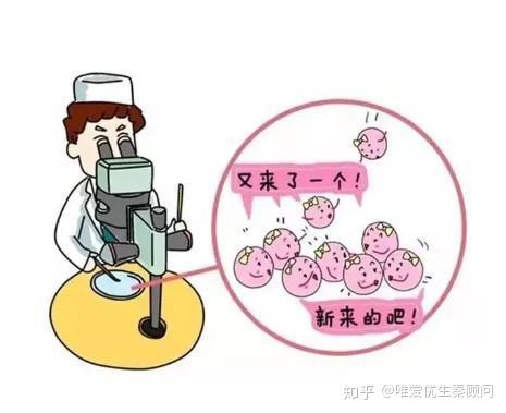 不完全代孕