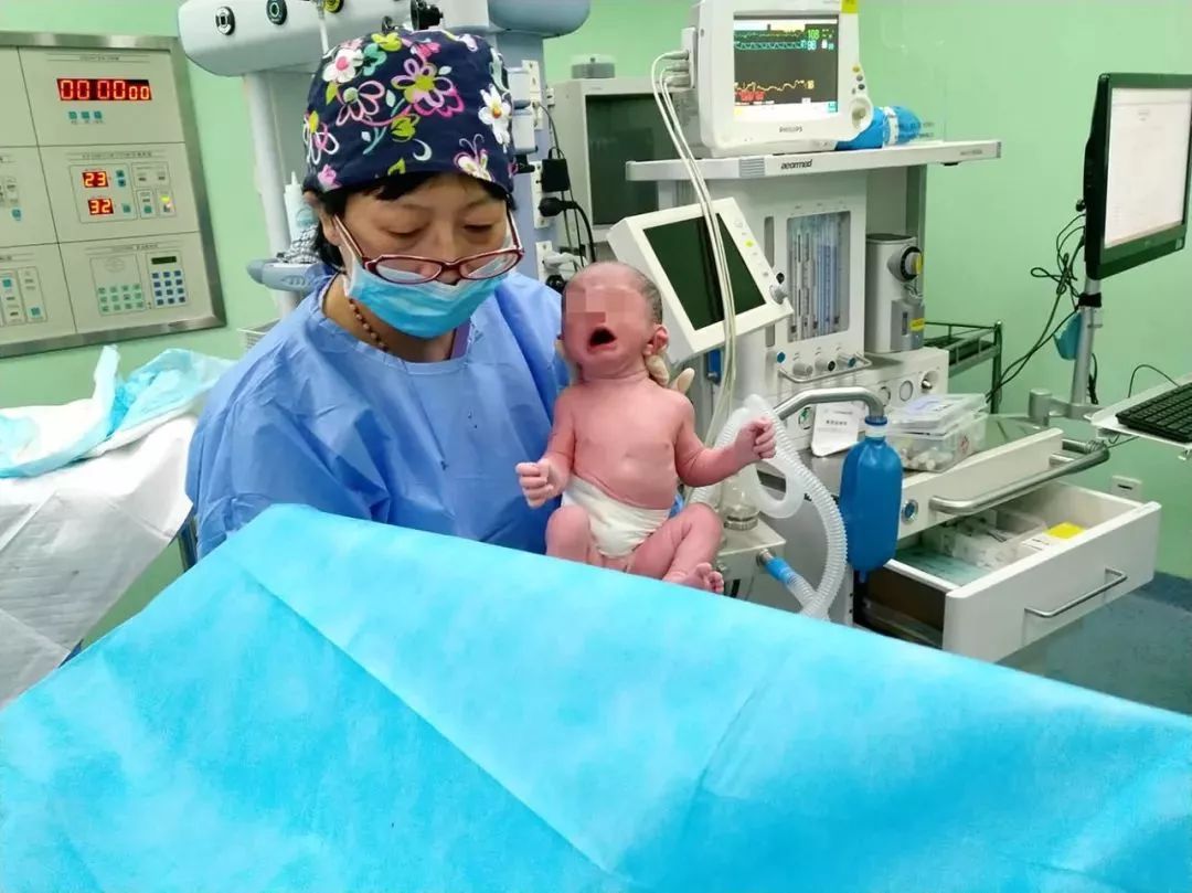 不结婚代孕