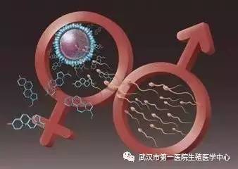 不排卵