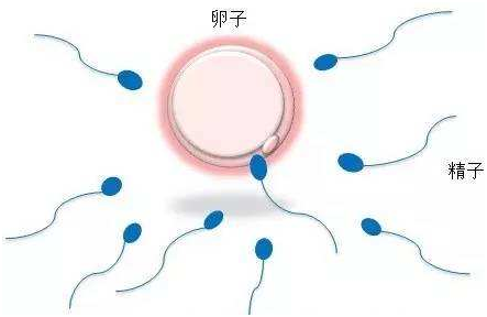 不孕不育