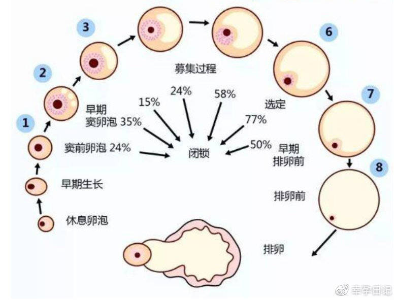 不育不孕