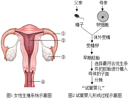 不孕