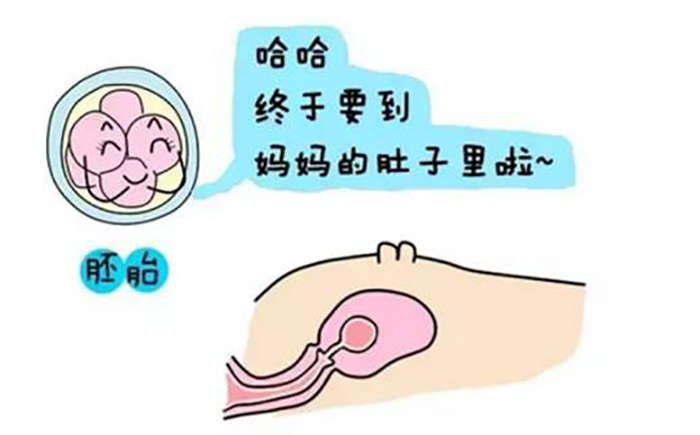 东莞试管助孕