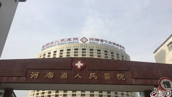 东方助孕