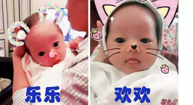 中华代孕