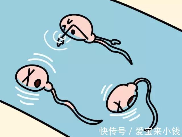 中南代孕