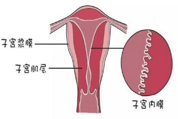 中国人到印度代孕